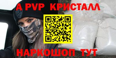 spice Кингисепп