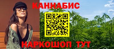 spice Кингисепп