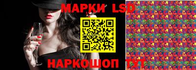 spice Кингисепп