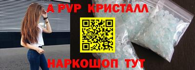 spice Кингисепп