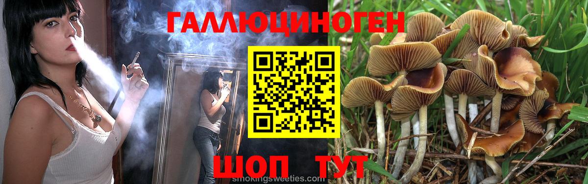 Псилоцибиновые грибы Cubensis  Псилоцибиновые грибы мухоморы  Кстово  Вход с VPN 